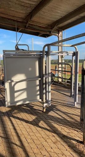Fabricated steel livestock gate and handling enclosure
